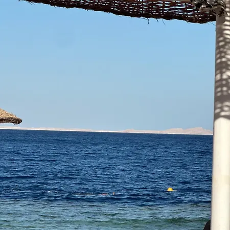 Domina Coral Bay-3